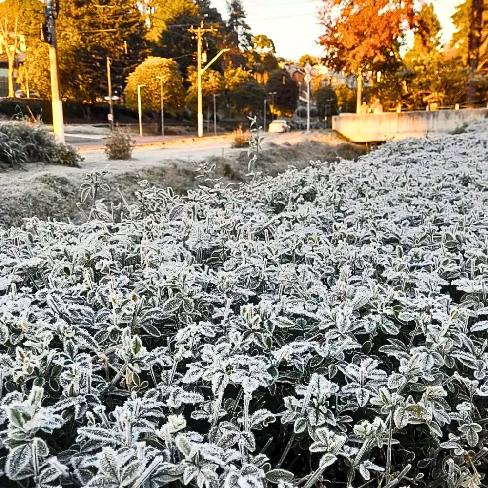 Viagem para Campos do Jordão