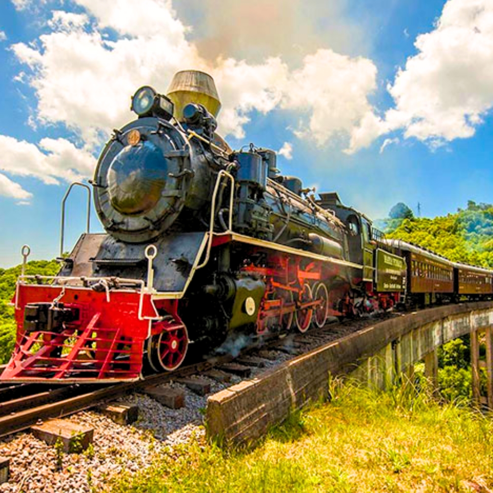Passeio de Trem - Rota da Uva Paranapiacaba